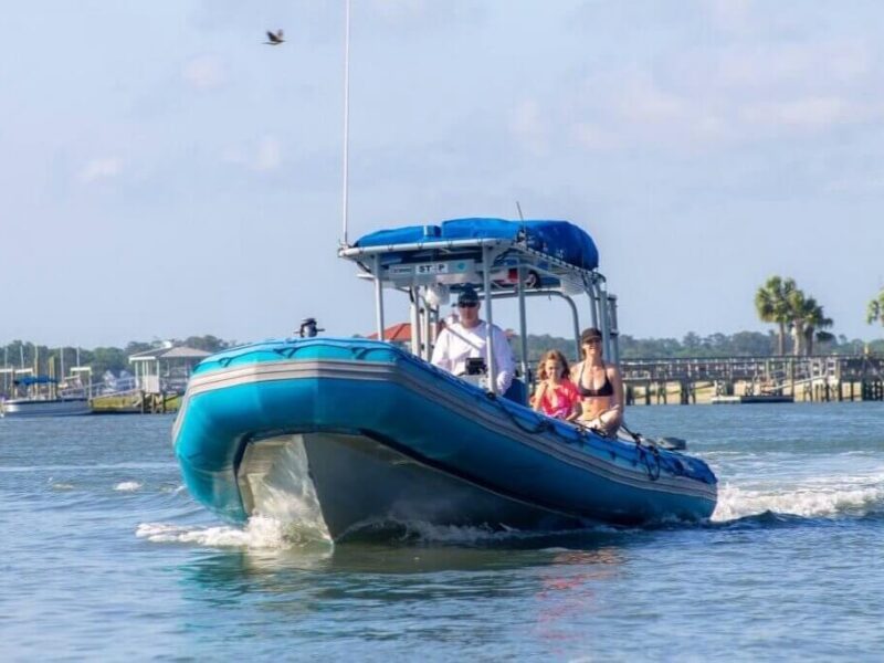 myrtle beach dolphin boat tours