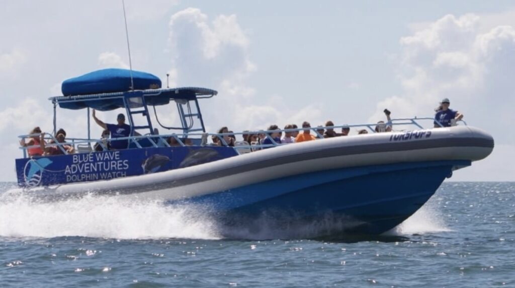 tursi ops blue wave adventures dolphin tour