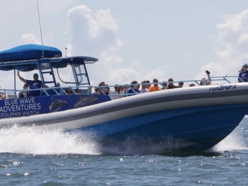 tursi ops blue wave adventures dolphin tour