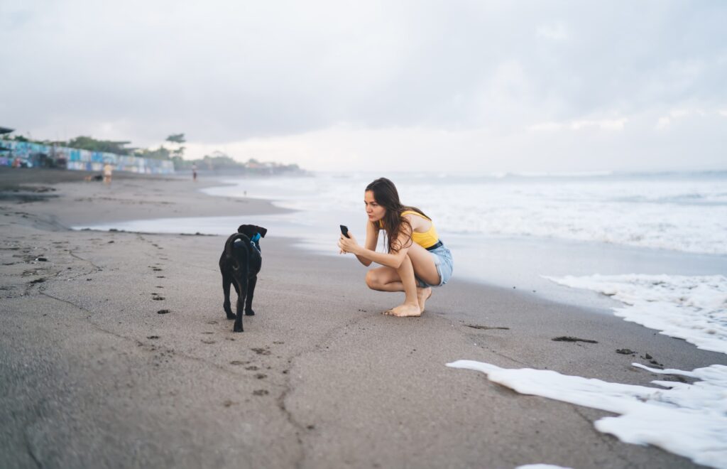 Young woman taking photo of dog on sandy beach